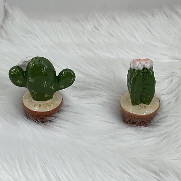 Cactus Cacti Blossom Salt and Pepper Shaker Set Green White Brown - Picture 5 of 9